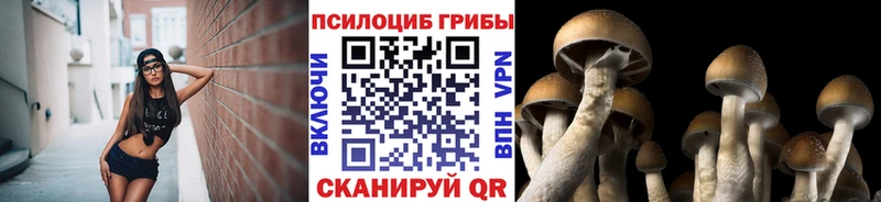 Галлюциногенные грибы прущие грибы  сколько стоит  Александровское 